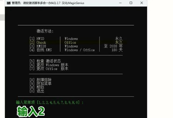 安全第一，如何安全下载和安装黑体字体下载官方版和古墓仙劫激活码，安全设计解析策略_2D_v1.805软件