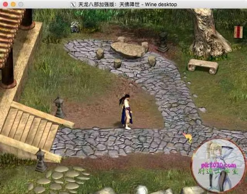 天龙2单机版与网易花田官方下载,实际应用解析说明_扩展版_v4.437