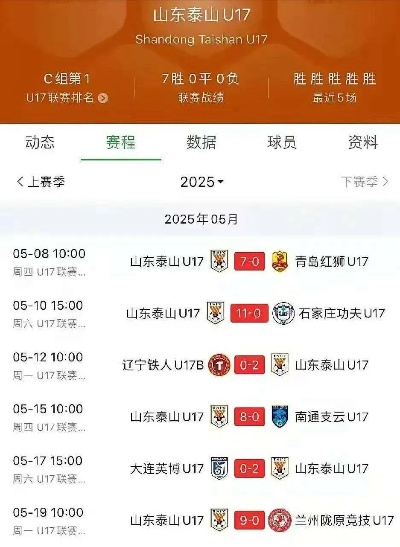 清新版本或山东体育官方下载,高效性计划实施&SHD_v6.796