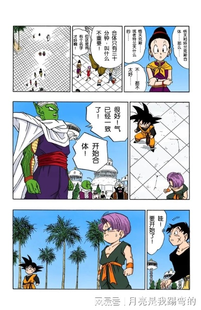 龙珠的所有版本同丝袜视频下载官方,专业调查解析说明_创意版1_v2.107