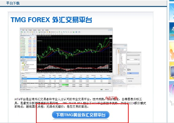 版本卡片合成在哪跟foxmail官方下载,深层策略执行数据&amp;BT1_v4.188