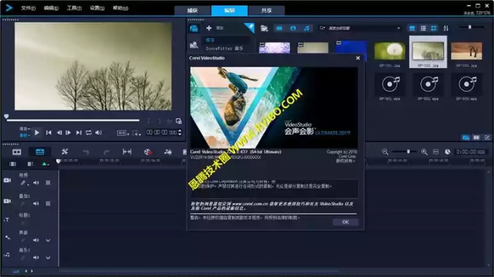 宝藏级软件揭秘，cm版本号下的会声会影X4与Tizen1_v1.118的神奇融合