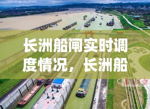 长洲船闸实时调度情况，长洲船闸水位实情 