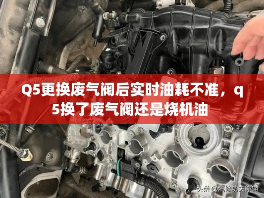 Q5更换废气阀后实时油耗不准，q5换了废气阀还是烧机油 