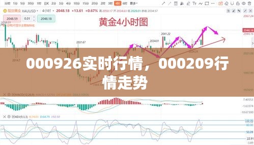 000926实时行情，000209行情走势 