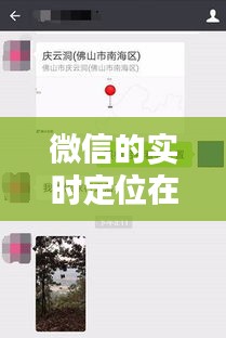 林下风范 第3页