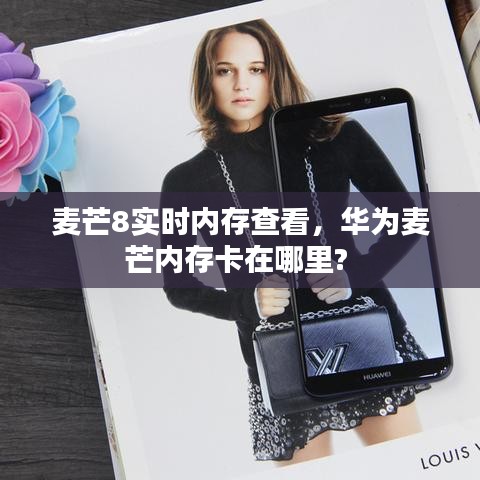 因陋就简 第3页