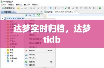 达梦实时归档，达梦 tidb 