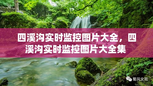 四溪沟实时监控图片大全，四溪沟实时监控图片大全集 