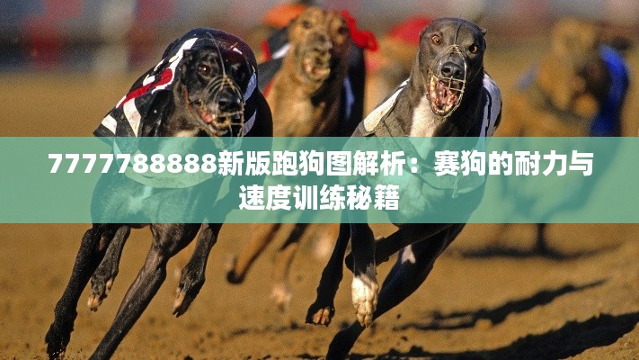 7777788888新版跑狗图解析：赛狗的耐力与速度训练秘籍