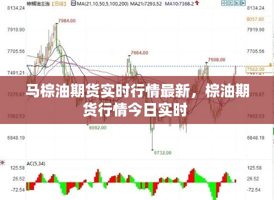 马棕油期货实时行情最新，棕油期货行情今日实时 