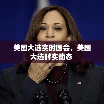 美国大选实时国会，美国大选时实动态 