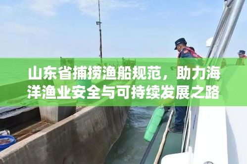 山东省捕捞渔船规范，助力海洋渔业安全与可持续发展之路