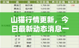 山猫行情更新，今日最新动态消息一网打尽！