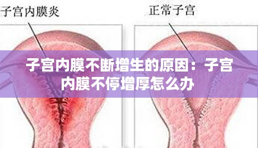 法不阿贵 第2页