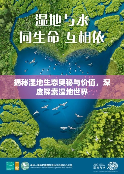 揭秘湿地生态奥秘与价值，深度探索湿地世界