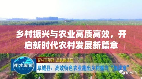 乡村振兴与农业高质高效，开启新时代农村发展新篇章