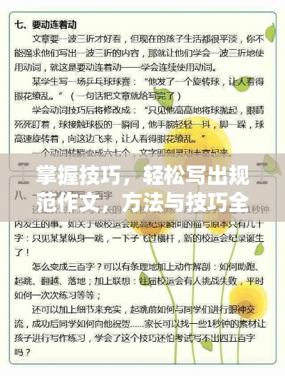掌握技巧，轻松写出规范作文，方法与技巧全解析！