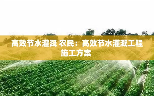 高效节水灌溉 农民：高效节水灌溉工程施工方案 