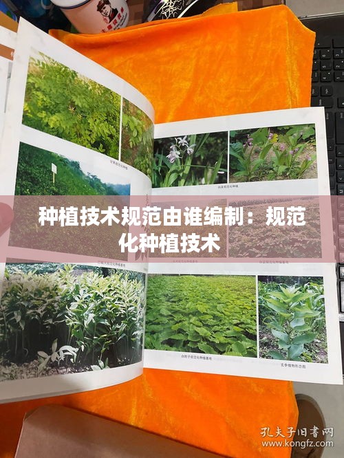 种植技术规范由谁编制：规范化种植技术 