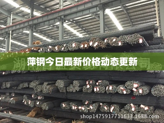 萍钢今日最新价格动态更新
