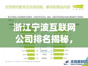 浙江宁波互联网公司排名揭秘，行业洞察与深度分析
