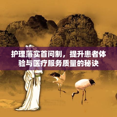 护理落实首问制，提升患者体验与医疗服务质量的秘诀