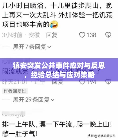 镇安突发公共事件应对与反思，经验总结与应对策略