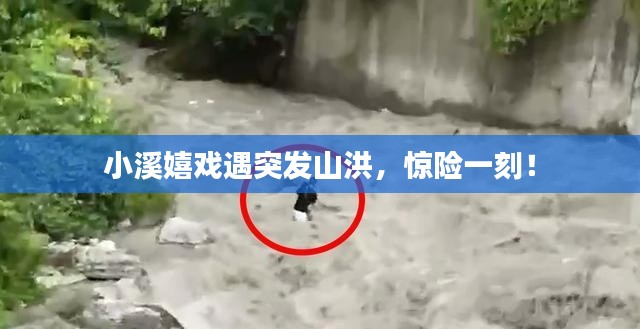 小溪嬉戏遇突发山洪，惊险一刻！