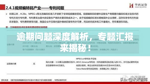 逾期问题深度解析，专题汇报来揭秘！