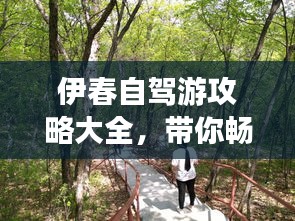 伊春自驾游攻略大全，带你畅游美景！