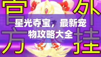 星光夺宝，最新宠物攻略大全