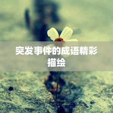 突发事件的成语精彩描绘
