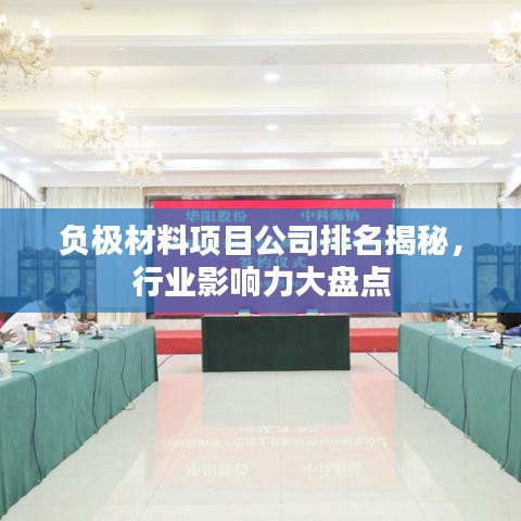负极材料项目公司排名揭秘，行业影响力大盘点