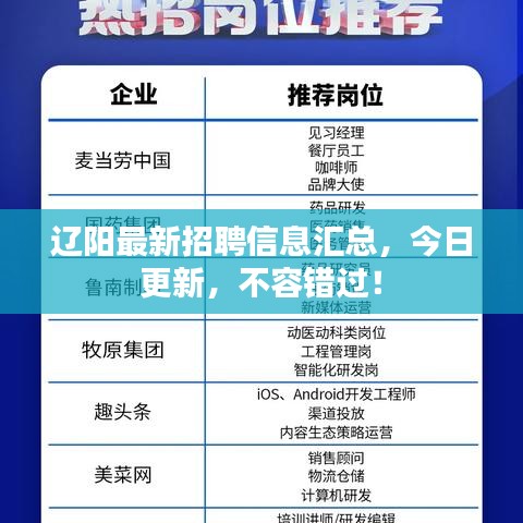 辽阳最新招聘信息汇总，今日更新，不容错过！
