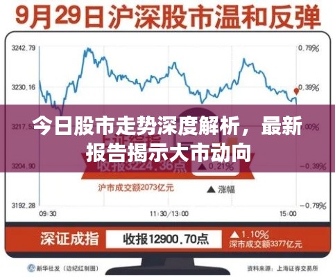 今日股市走势深度解析，最新报告揭示大市动向