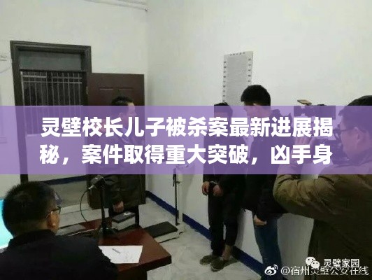 灵壁校长儿子被杀案最新进展揭秘，案件取得重大突破，凶手身份曝光！