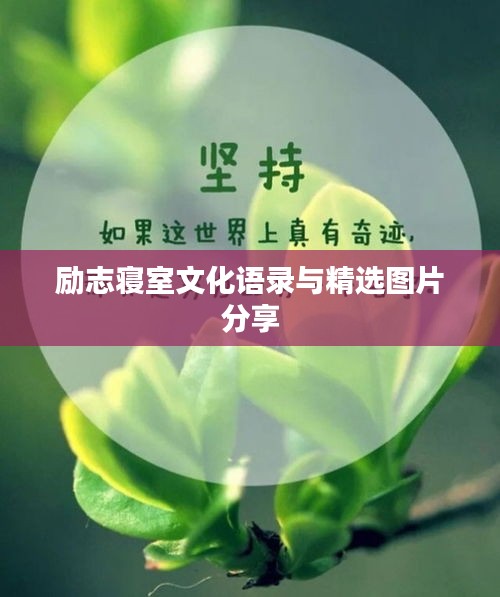励志寝室文化语录与精选图片分享