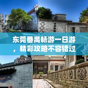 东莞番禺畅游一日游，精彩攻略不容错过！