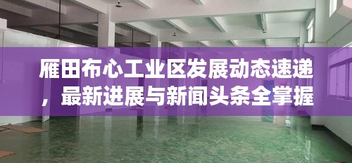 雁田布心工业区发展动态速递，最新进展与新闻头条全掌握
