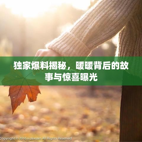 独家爆料揭秘，暖暖背后的故事与惊喜曝光