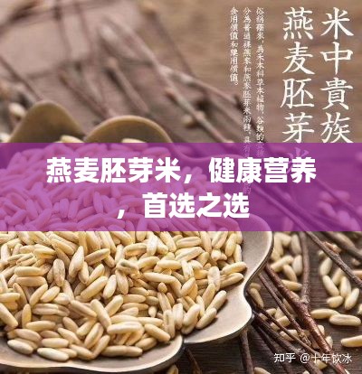 燕麦胚芽米，健康营养，首选之选
