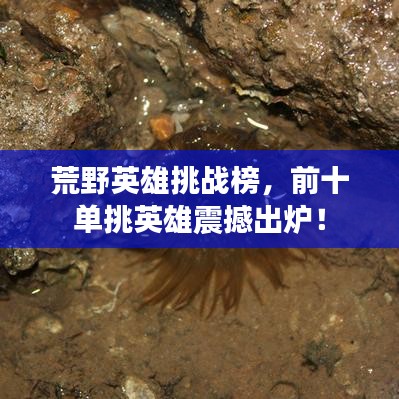 荒野英雄挑战榜，前十单挑英雄震撼出炉！