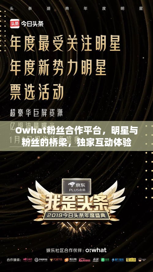 Owhat粉丝合作平台，明星与粉丝的桥梁，独家互动体验
