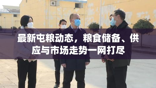 最新屯粮动态，粮食储备、供应与市场走势一网打尽