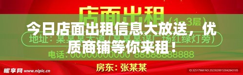 今日店面出租信息大放送，优质商铺等你来租！