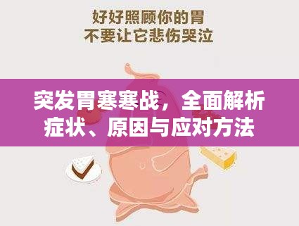 突发胃寒寒战，全面解析症状、原因与应对方法