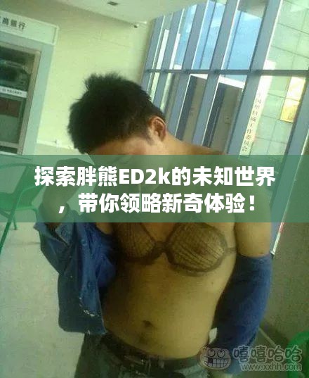 探索胖熊ED2k的未知世界，带你领略新奇体验！