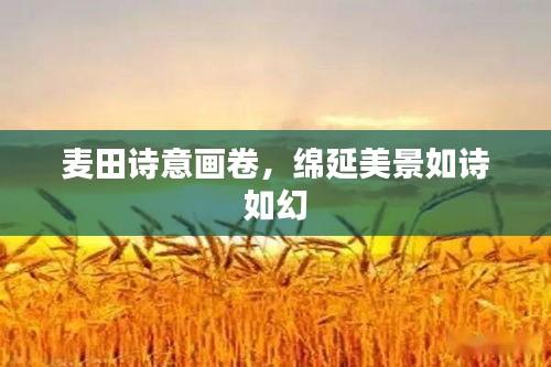 麦田诗意画卷，绵延美景如诗如幻