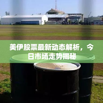 美伊股票最新动态解析，今日市场走势揭秘